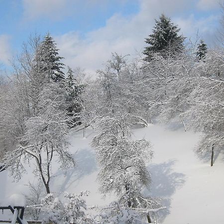 Gasthaus Wollmeiner Шмаленберг Екстериор снимка