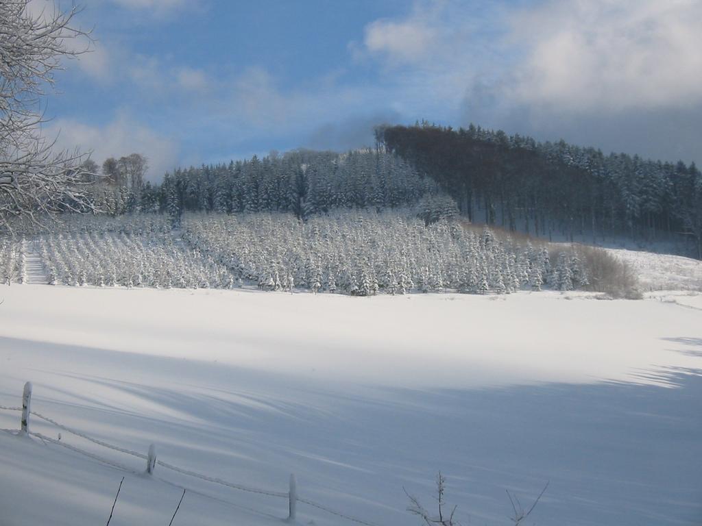 Gasthaus Wollmeiner Шмаленберг Екстериор снимка